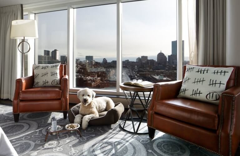 12 Luxury Pet-Friendly Hotels Around The World