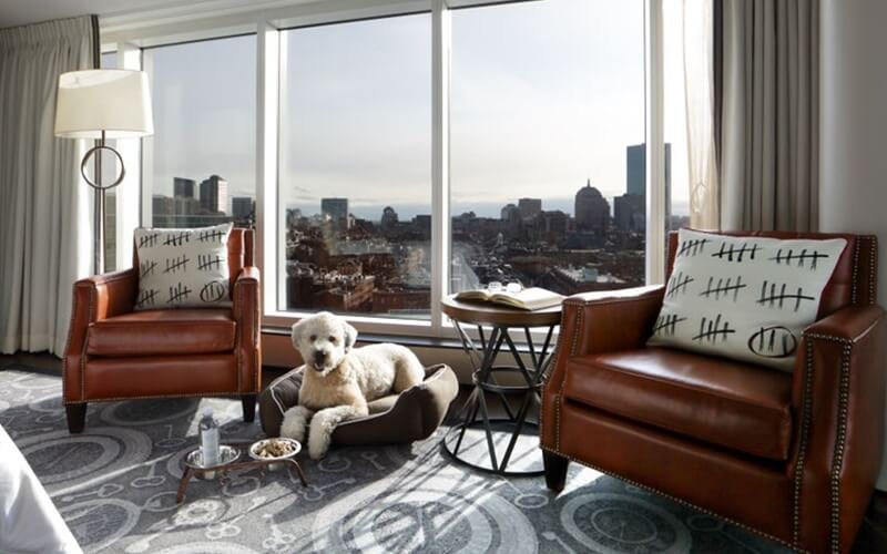 12 luxury pet-friendly hotels around the world - The Liberty Hotel, Boston, USA